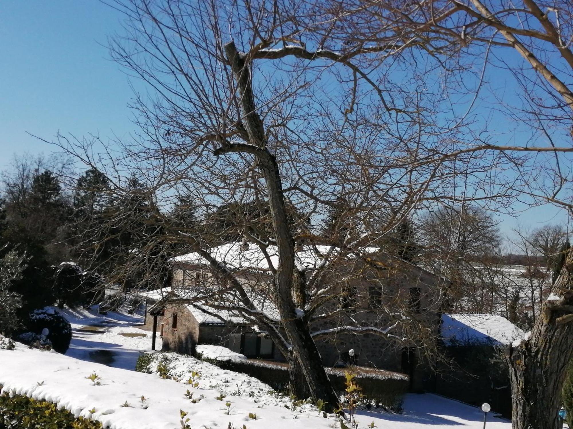 Agriturismo Il Cornalino Castel Viscardo Exterior photo